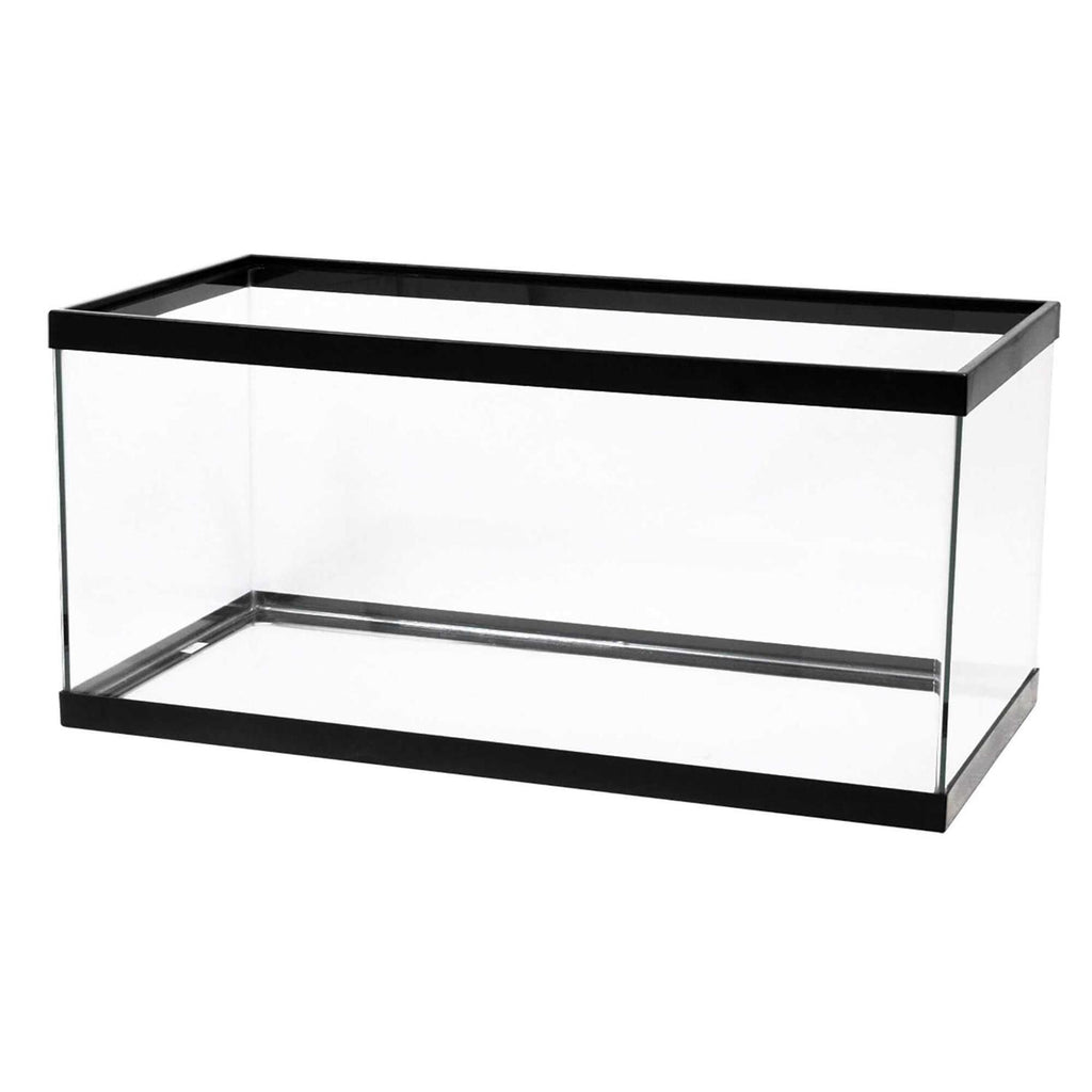 Black Aquarium N821727