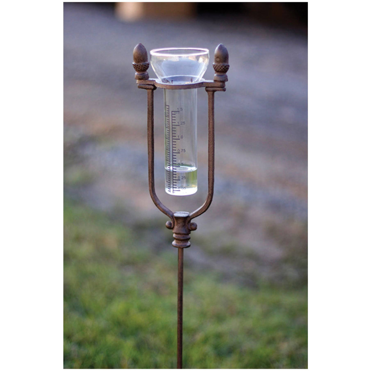 Rustic Cast Iron Rain Gauge Stake Q539384
