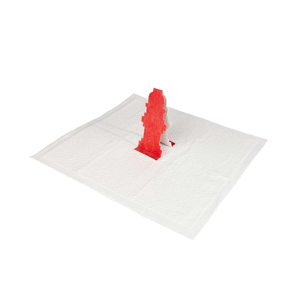 Pop-Up Pee Pad for Dogs F192678