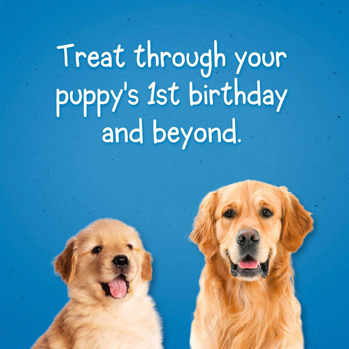 Puppy Chow Dog Training Treats K24251