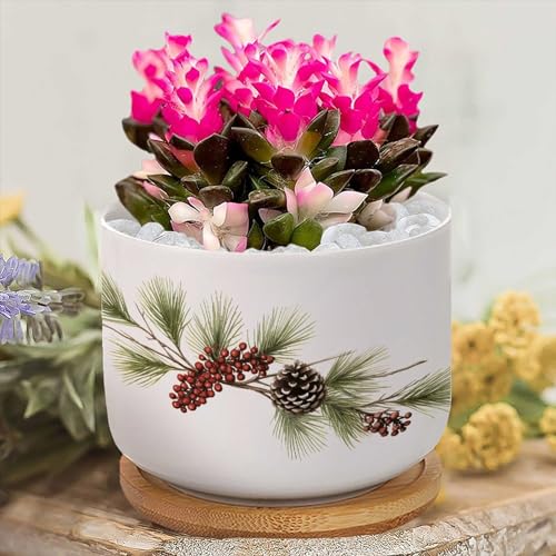 Blue and White Porcelain Ceramic Planters with Bamboo Trays S5532