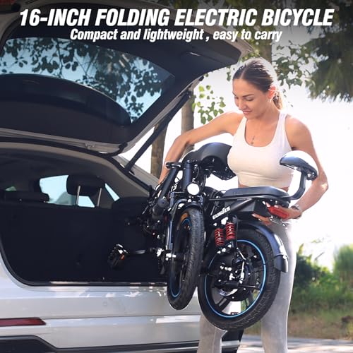 2 Seater Electric Bike, 16" Fat Tire, Full Suspension G4896