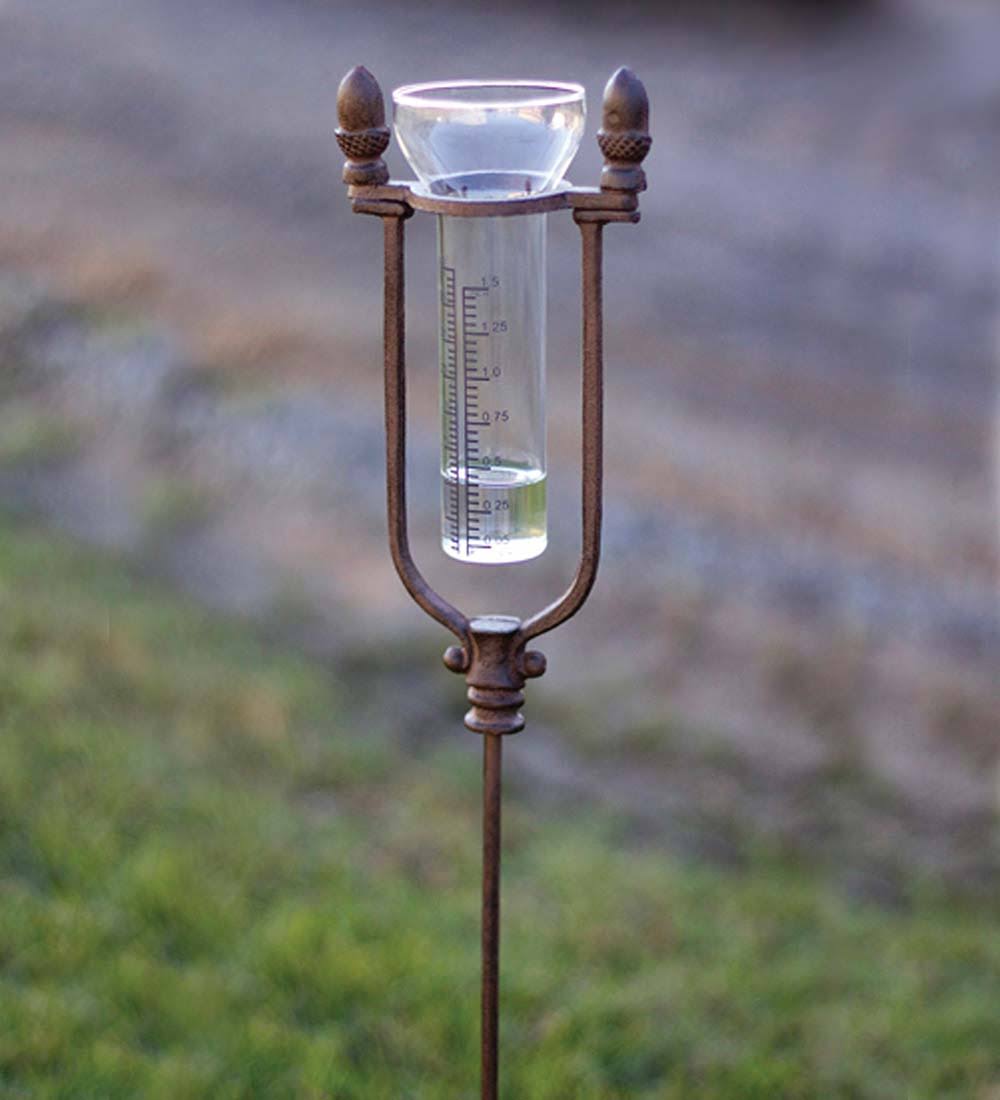 Rustic Cast Iron Rain Gauge Stake Q539384