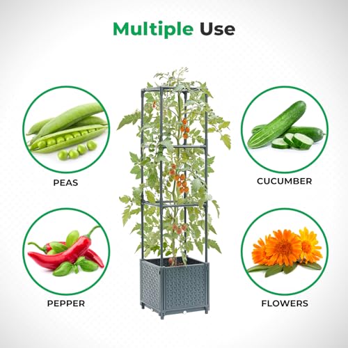 Raised Garden Bed with Tomato Planter Cage S166270