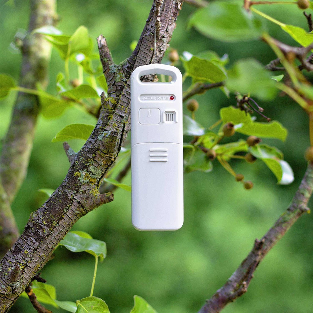 Wireless Indoor Outdoor Temperature and Humidity Sensor Q28183