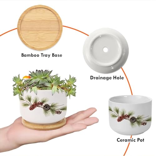 Blue and White Porcelain Ceramic Planters with Bamboo Trays S5532