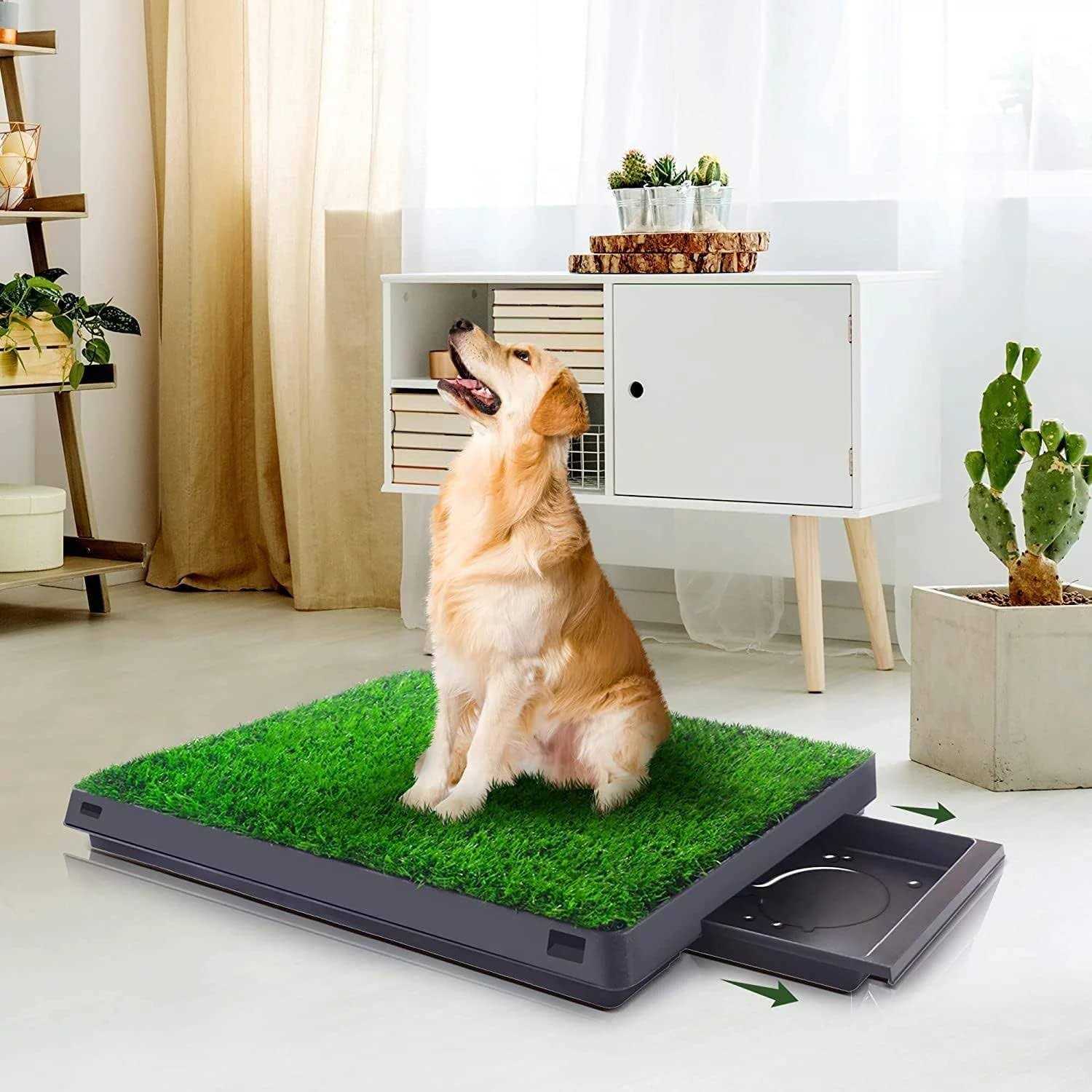 20” x 25” Artificial Dog Grass Pad with Tray C4906