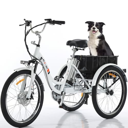 24" 3 Wheel Electric Tricycle with 350w Motor & Removable 36V 12Ah Lithium Battery R151