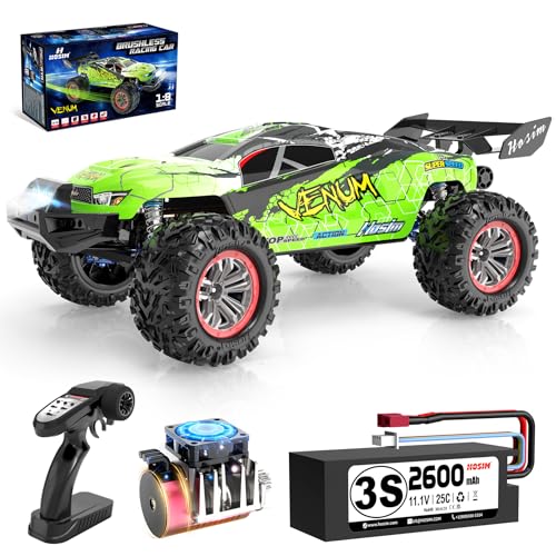 Mini 1:8 RC Car, Remote Control Truck 4X4 Waterproof 2.4GHZ Off Road with 3S Battery C821